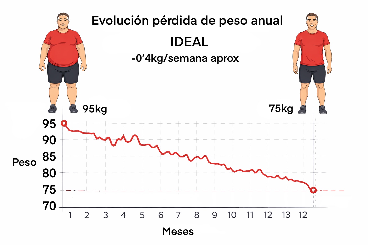 gráfica pérdida de peso ideal
